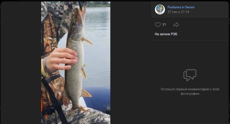 Скриншот фото щуки, клюнувшей на&nbsp;удочку одного из&nbsp;рыболовов на&nbsp;затоне РЭБ