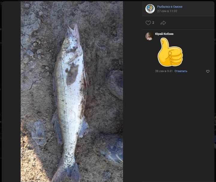 Скриншоты публикации с&nbsp;крупным уловом начинающего рыбака
