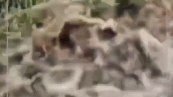 Грунтовые дороги затоплены водой после прохода циклона