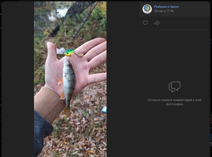 Скриншоты фото улова, пойманного на&nbsp;затоне Зеленого острова в&nbsp;Омске