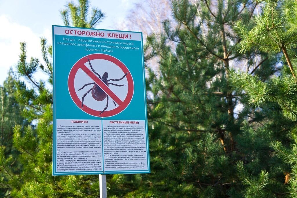 В Москве стабильно снижается вероятность заражения болезнью Лайма
