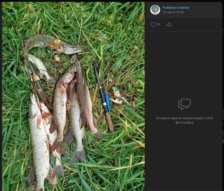 Как видно на&nbsp;скриншоте, рыбалка на&nbsp;Омке приносит очень разнообразный улов: «от&nbsp;мала до&nbsp;велика»
