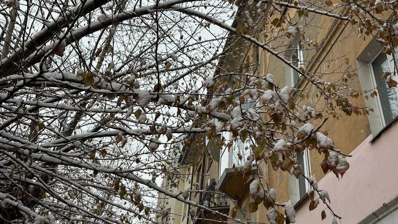 Зима пришла раньше срока