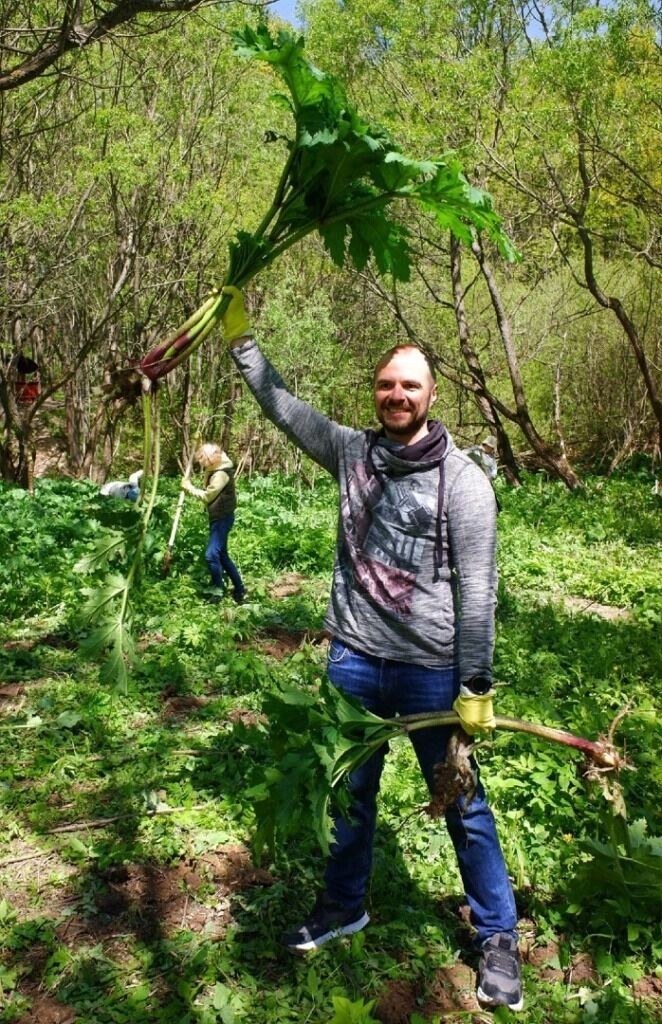 Власти выделяют на тендерах половину требуемой суммы на гербициды