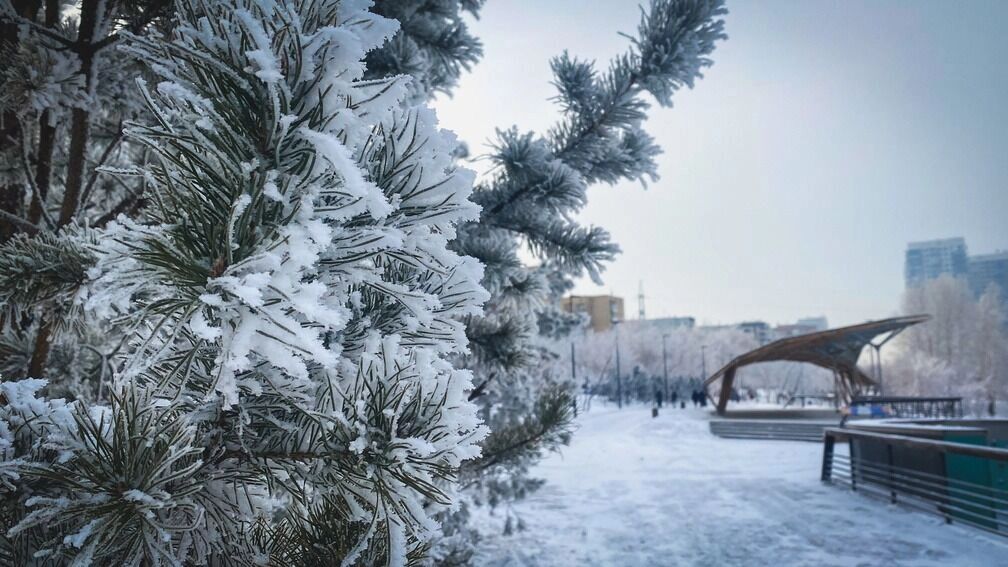 Температурные качели, снег и оттепели: какой будет зима в России