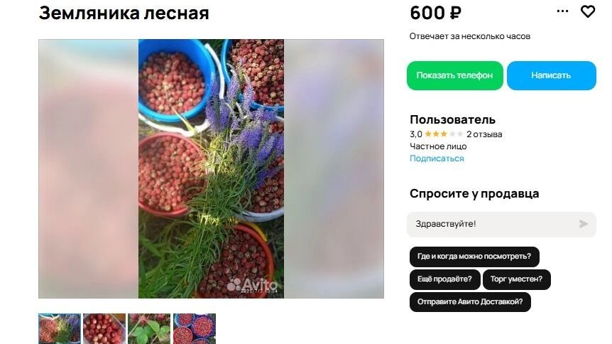 Земляника