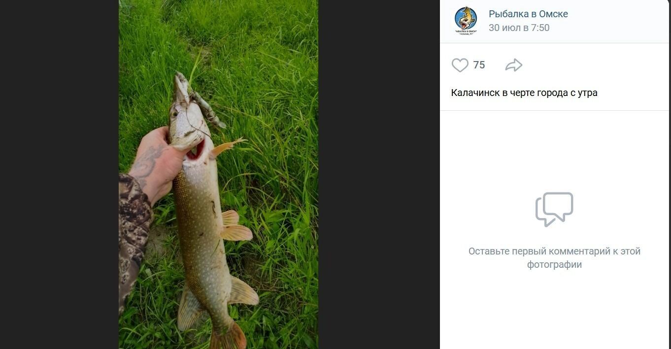 Щука, пойманная в Калачинске