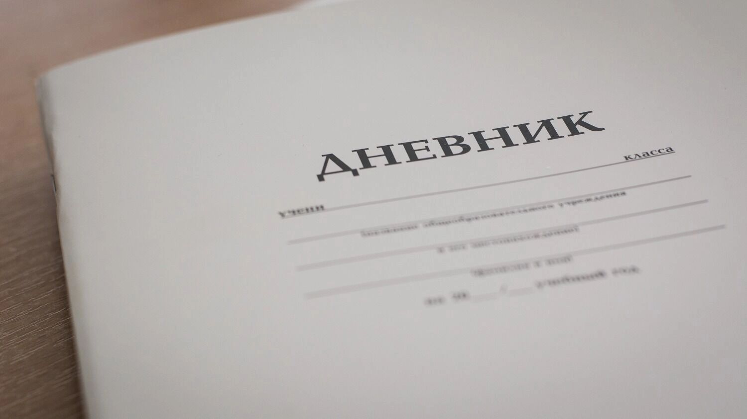 Белгородцы не&nbsp;раз жаловались на&nbsp;большой объём домашних заданий для школьников