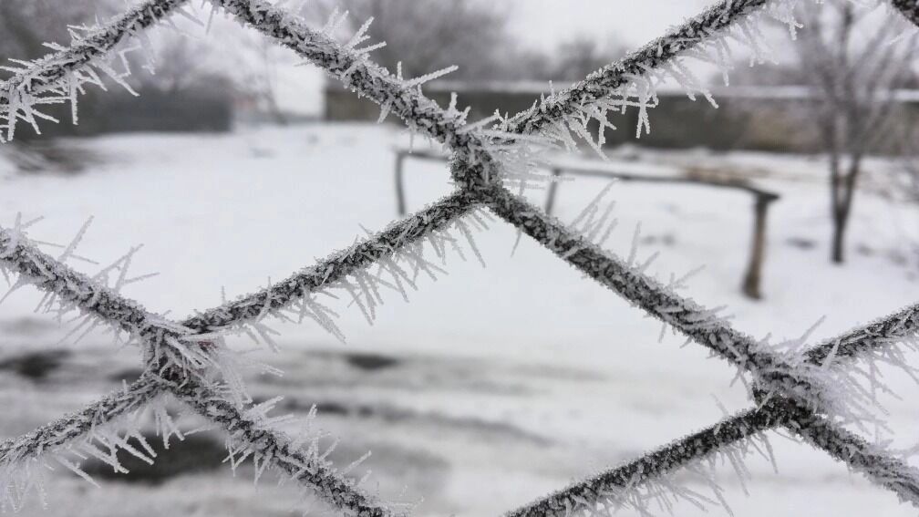 Температурные качели, снег и оттепели: какой будет зима в России