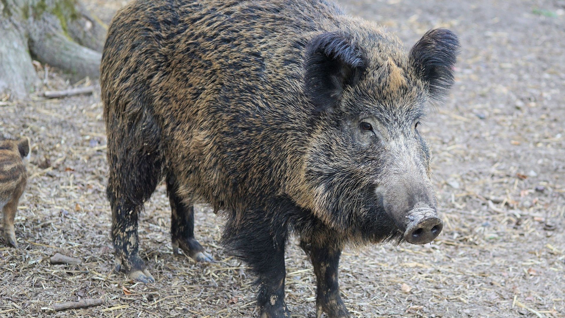 b16c2fa890666934168f668eeec07e09fe1988ab758da1aca489a713d61f.jpg