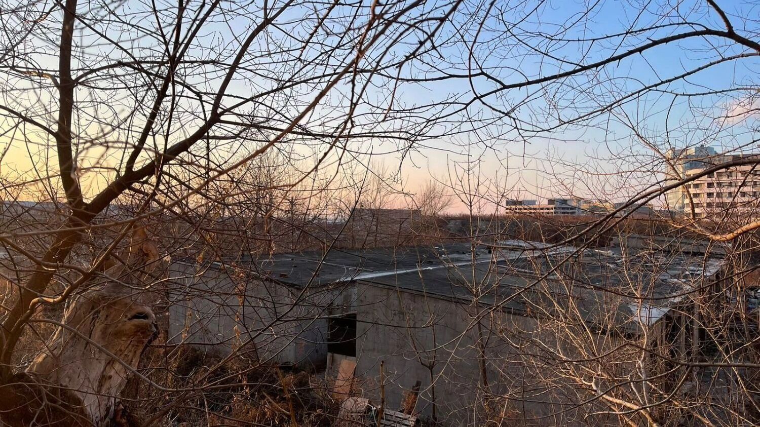 Воспитает улица: китайский застройщик «забьет» детские сады района «элитными» детьми?