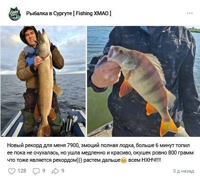 ЩУки буквально прыгают в лодку
