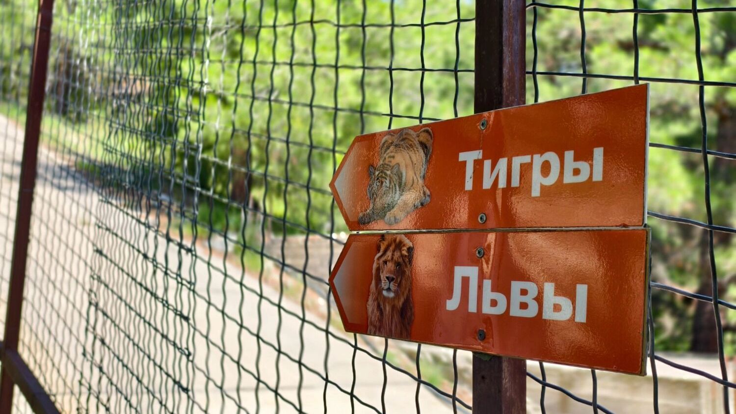 Сафари-парк в Геленджике