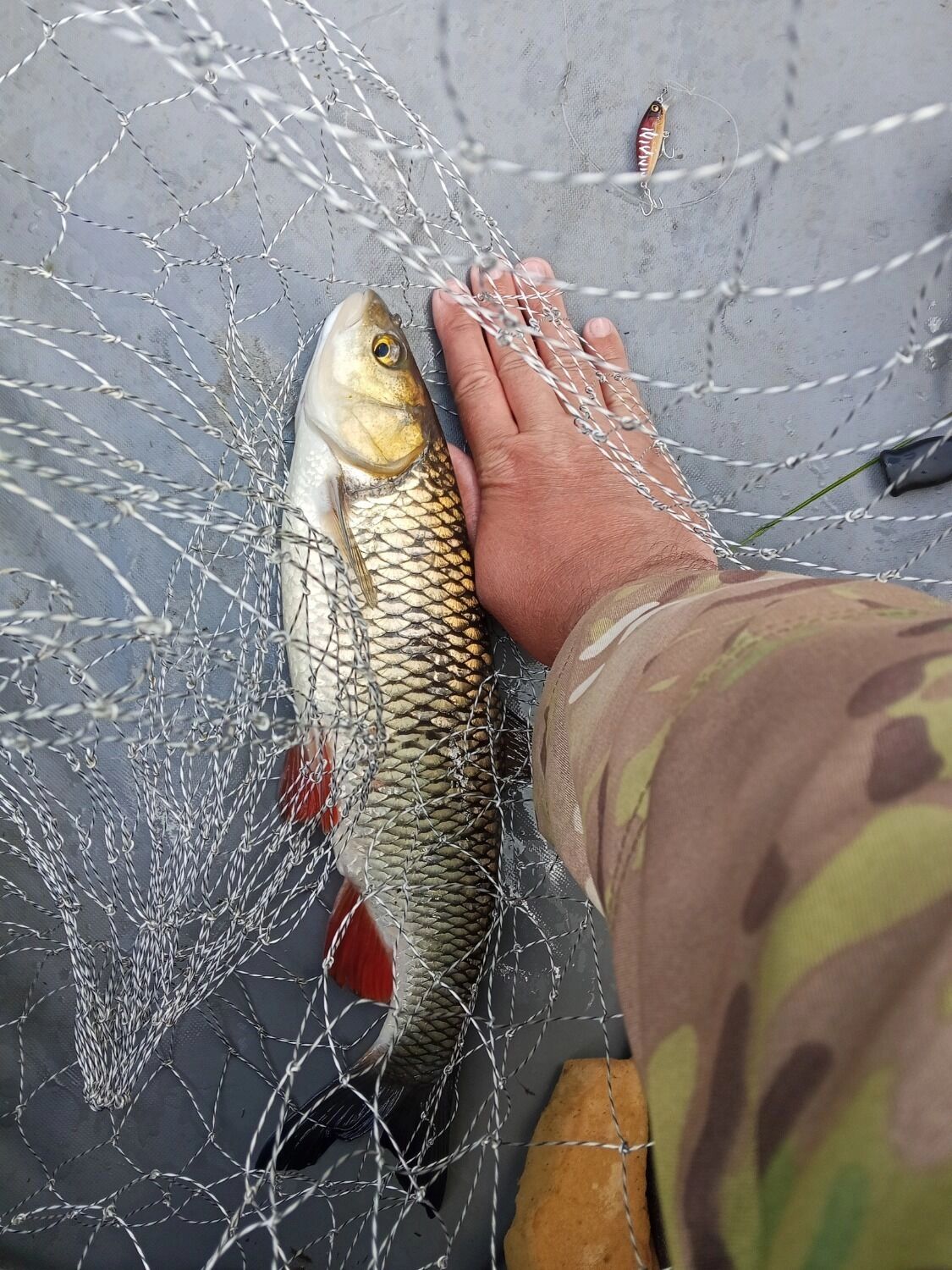 Большие окуни водятся в&nbsp;реке Малая Какша