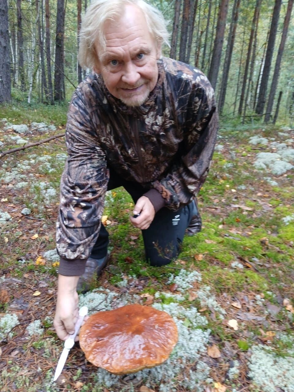 Грибы, которые нашел Вадим Булавинов в лесу