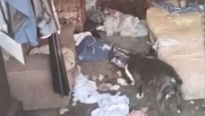 Жители Кемерова скидывались на альпиниста, чтобы доставить еду запертым стаффордам