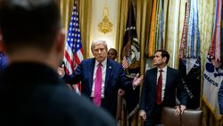 Как мошенники ставят рекорды в Петербурге