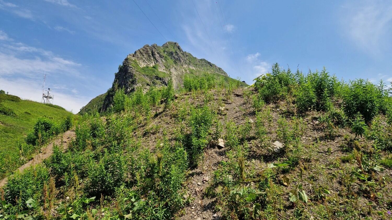 Курорт Красная Поляна, Сочи
