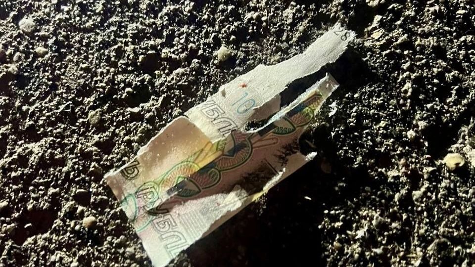 Предупредите детей об опасности: что стоит за взрывом в Красногорске