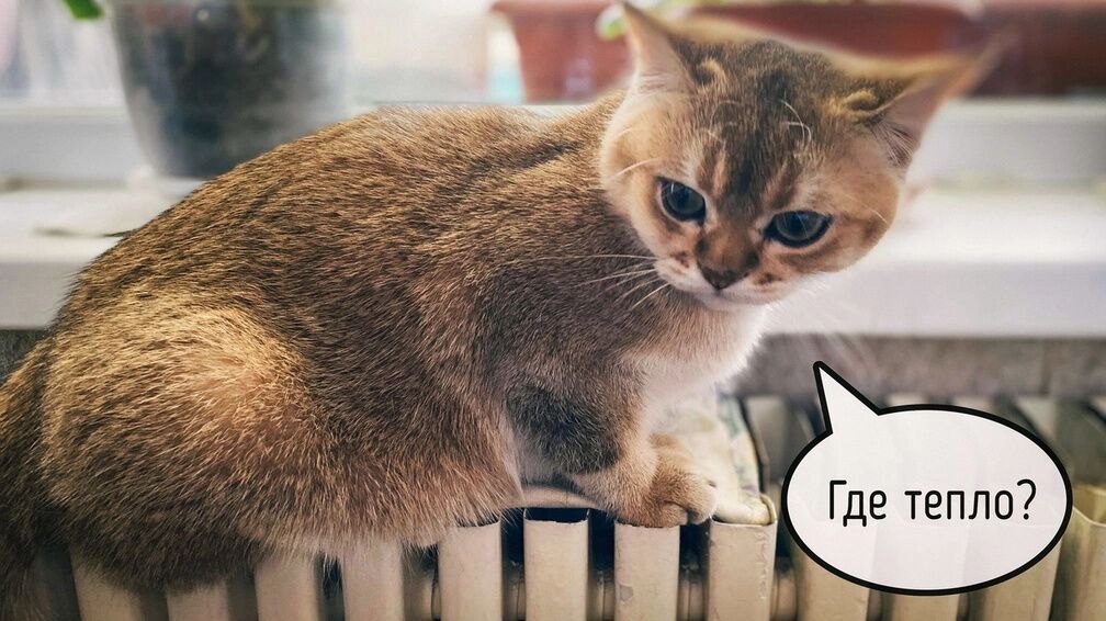 Уже четвертое отключение за месяц: омичи пожаловались на отсутствие отопления