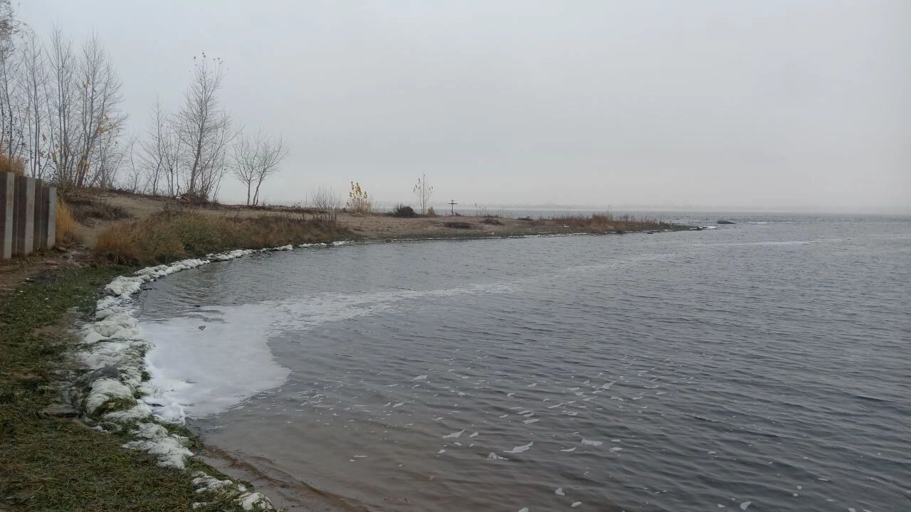 Пена и мертвая рыба у Гасителя испугали волгоградцев