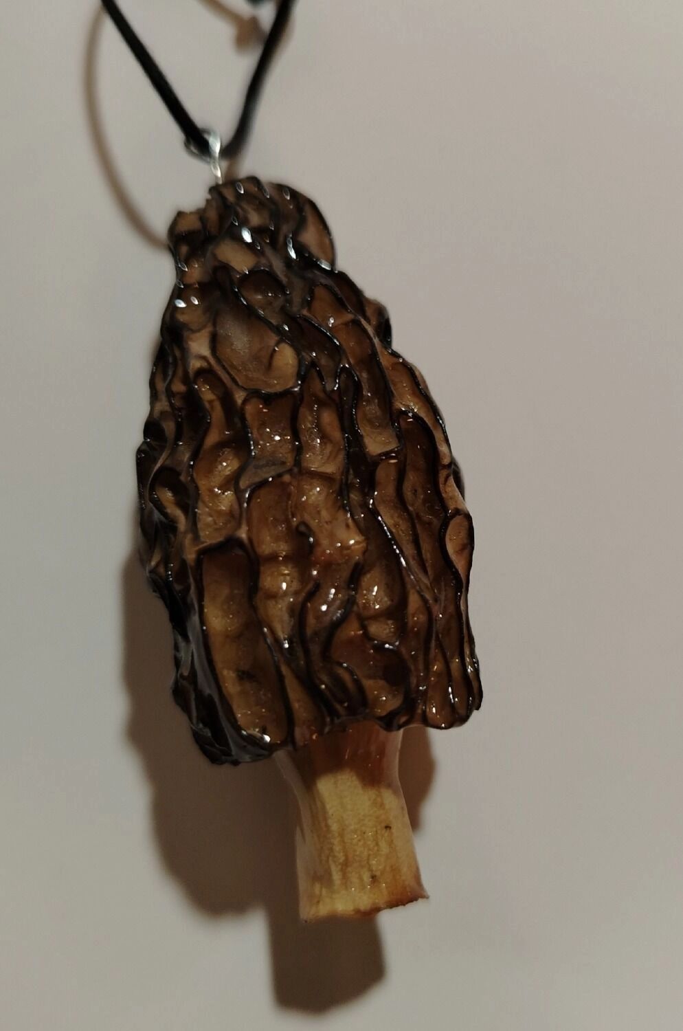 Грибы из нижегородских лесов