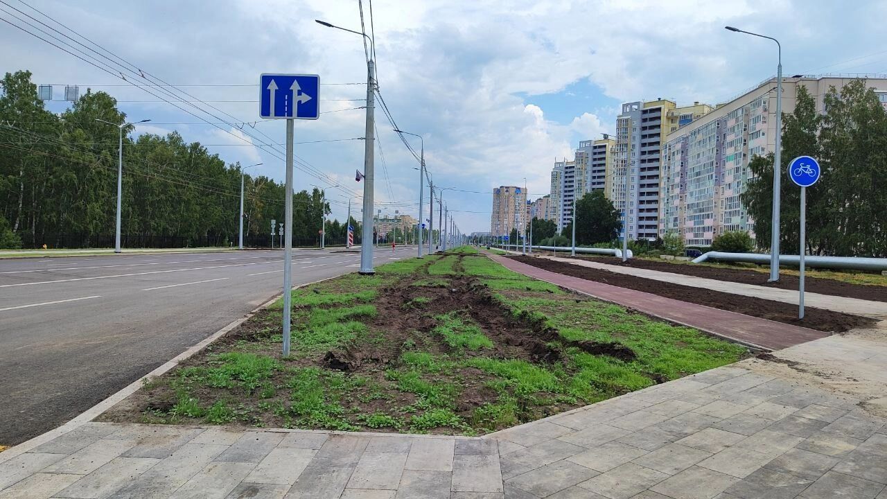 Неидеальный газон на бульваре Архитекторов