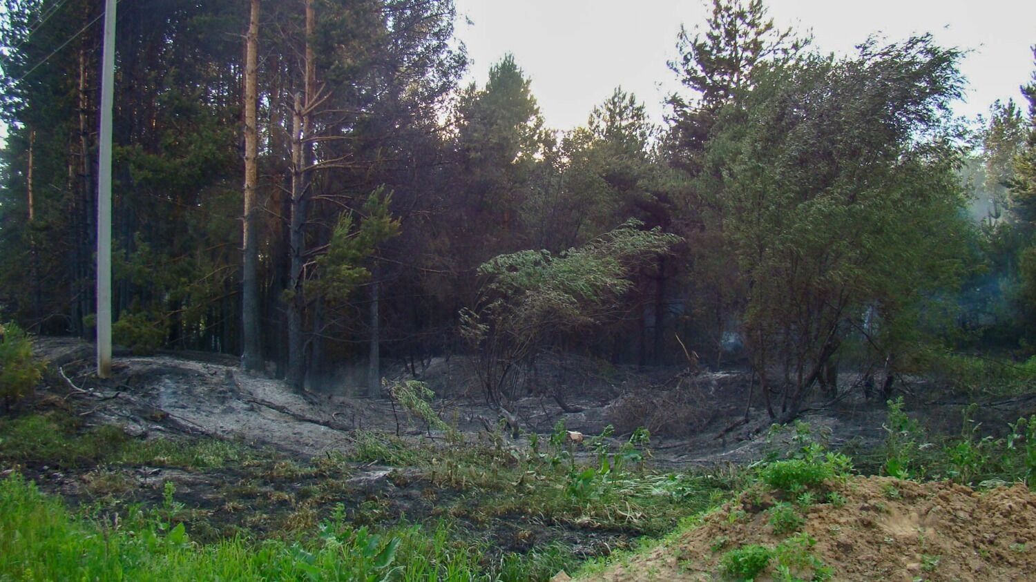 Лесной пожар у деревни Пиголи в 2010 году