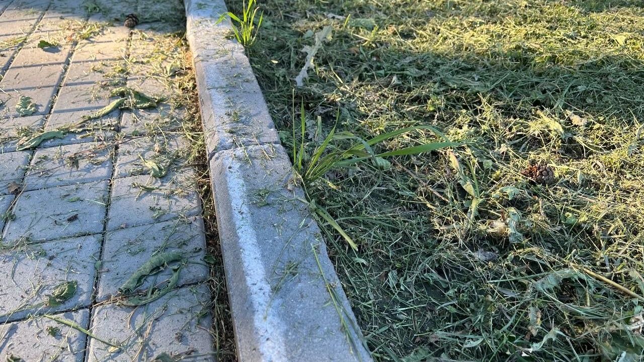 Скошенную траву в парке Вдохновение, так и не убрали