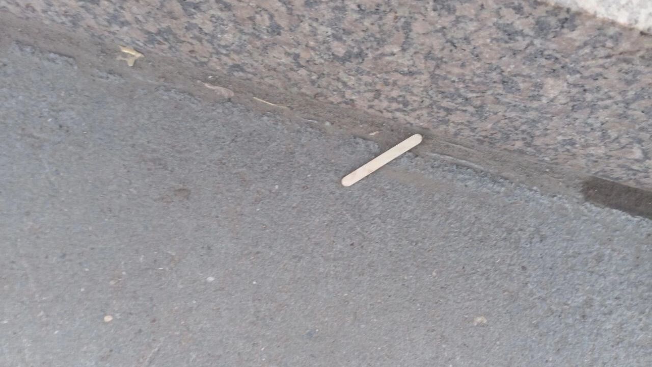 Брошенная палочка