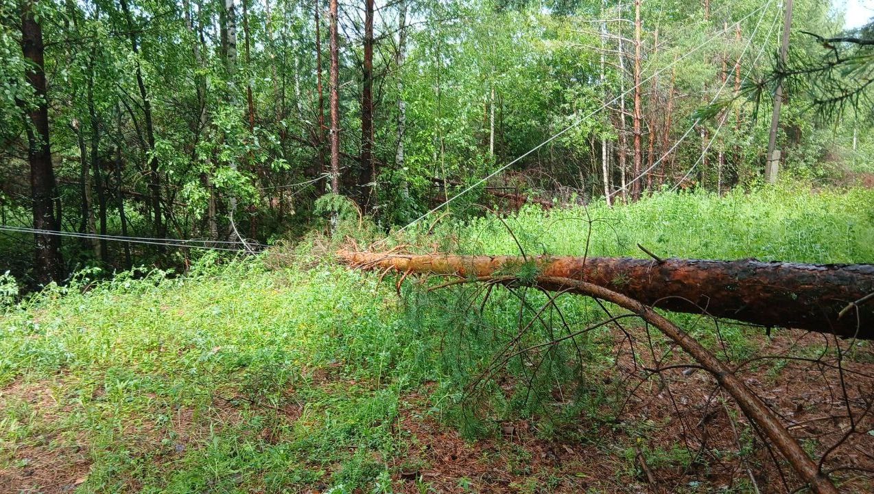 «Удмуртэнерго» восстанавливает электроснабжение потребителей в Вавожском районе