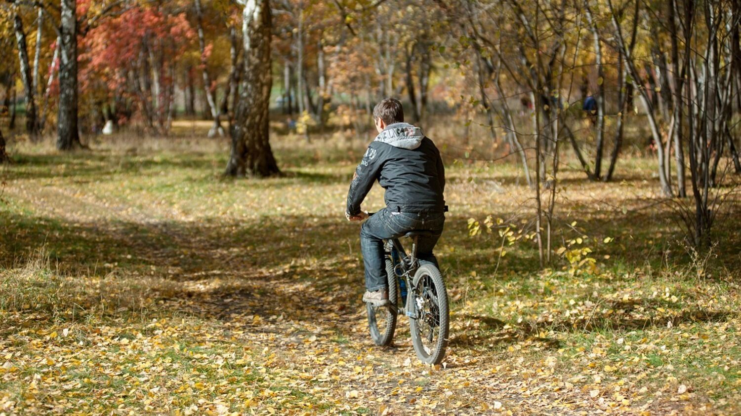 Осенью можно прокатиться по лесу на велосипеде, не опасаясь налететь на препятствие в траве