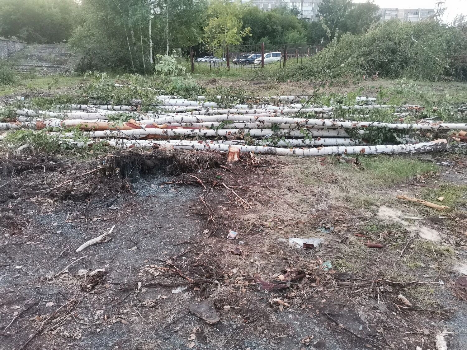 В Нижнем Тагиле началось строительство круглогодичного катка на Вые