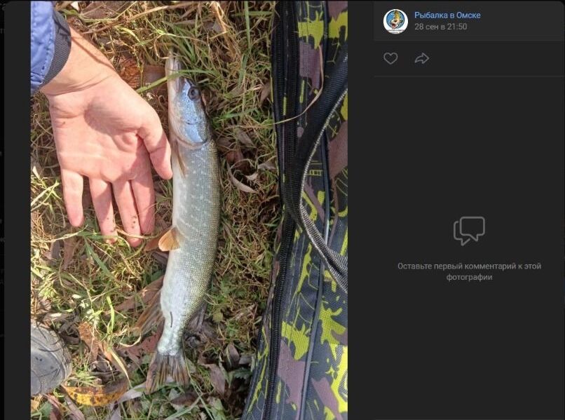 Скриншоты фотографий, опубликованных после рыбалки на&nbsp;омской лодочной станции