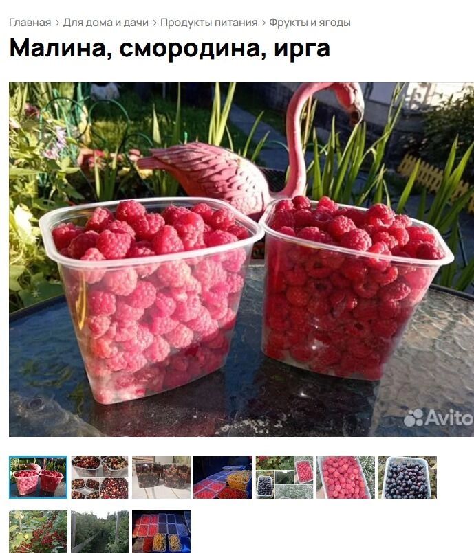 Ягоду продают в основном дачники