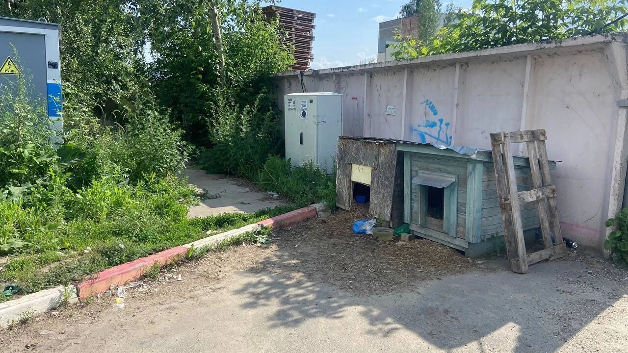 Гимаев особо выделил привлекательность земель вокруг улицы Кулагина.