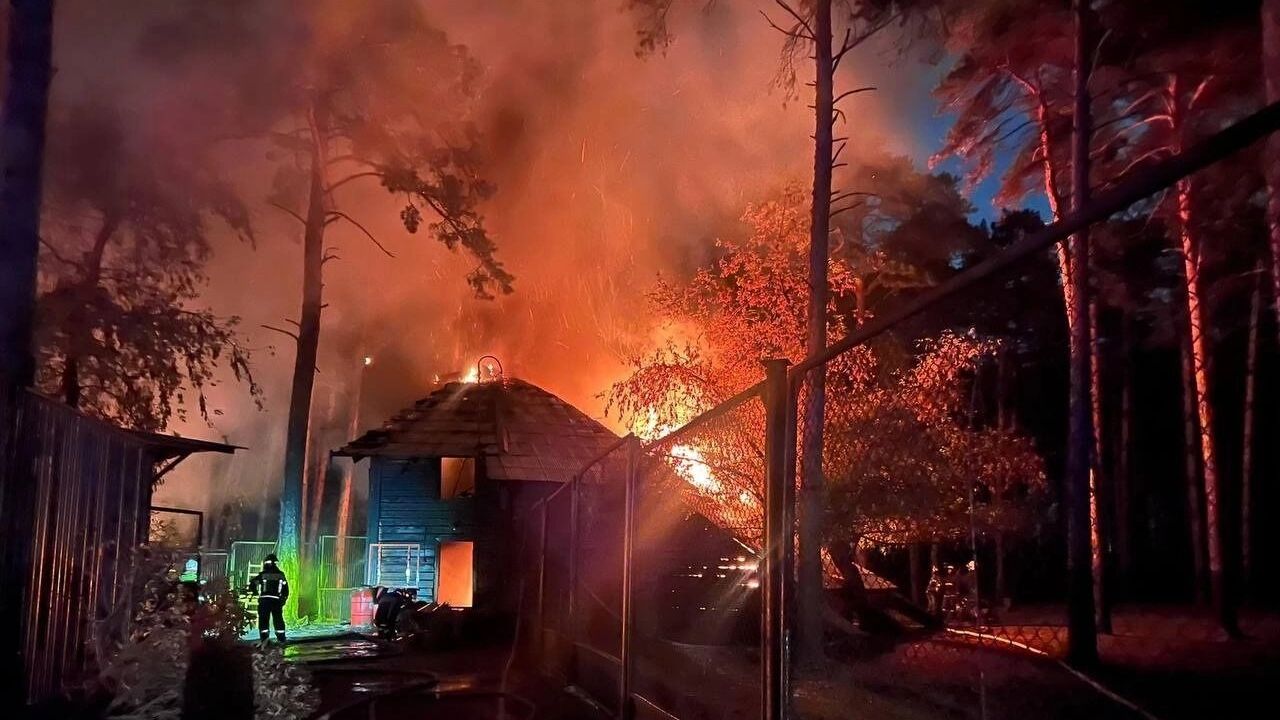 пожар в зоопарке