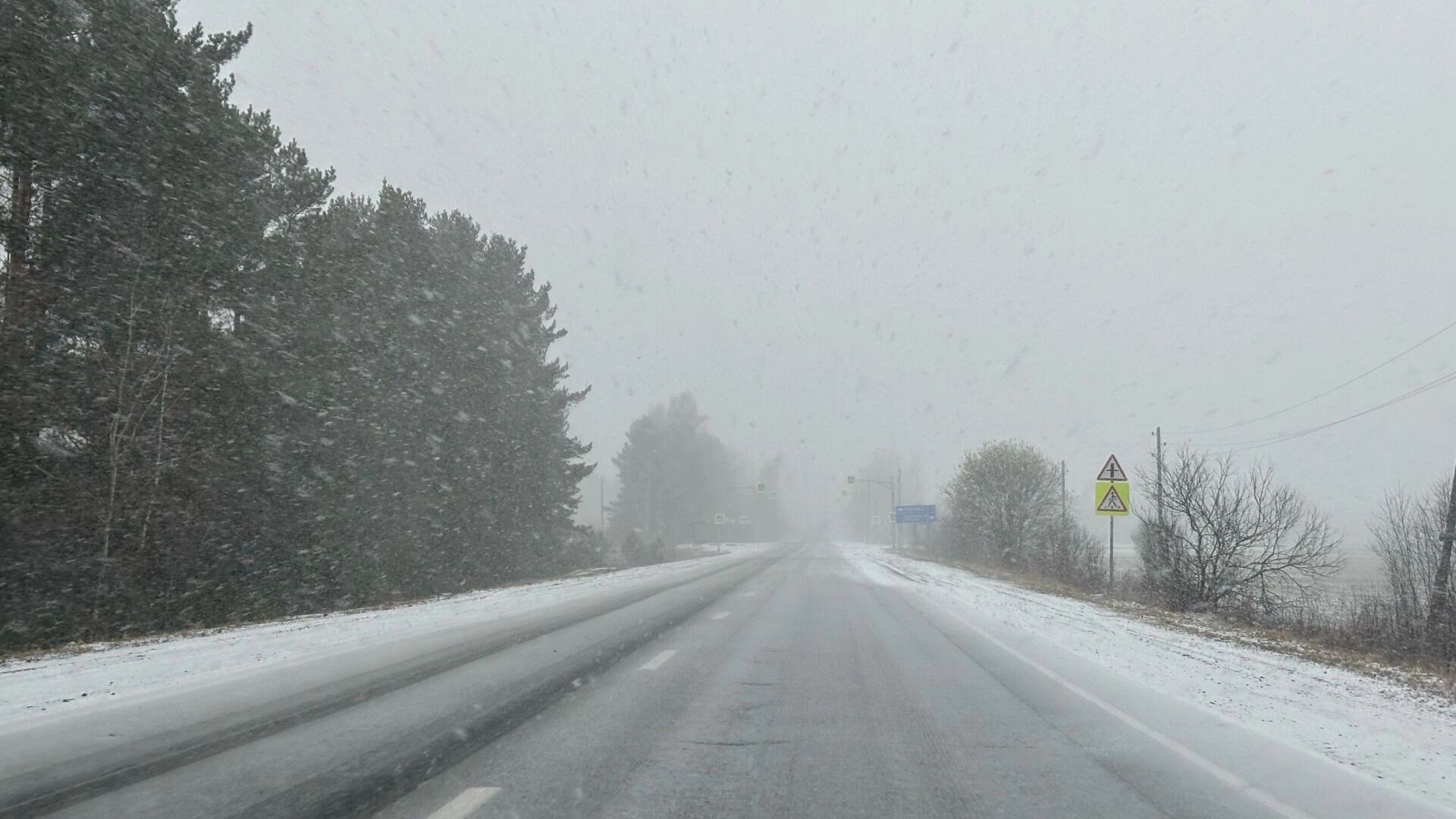 Снегопад накроет Нижний Новгород в ночь на 22 ноября