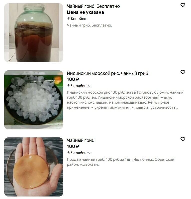 Чайный гриб готовы продать по 100 рублей, а то и отдать бесплатно