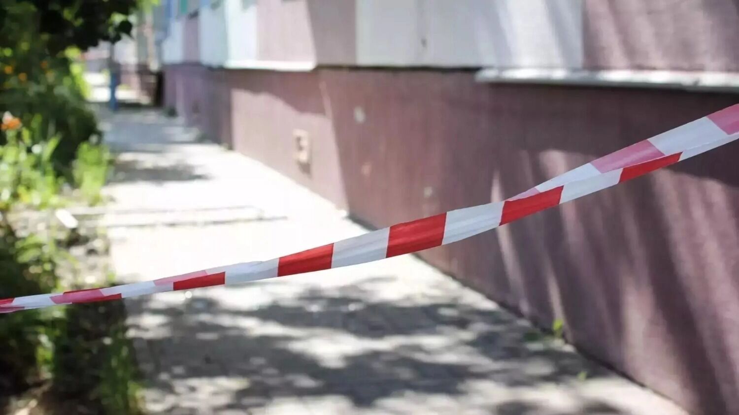 В&nbsp;Белгородской области не&nbsp;было случаев привлечения чиновников к&nbsp;дисциплинарной ответственности за&nbsp;отказ от&nbsp;поездок в&nbsp;приграничье