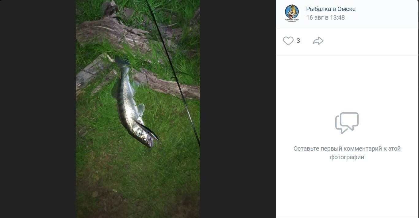 Почти ночной улов в секретных местах