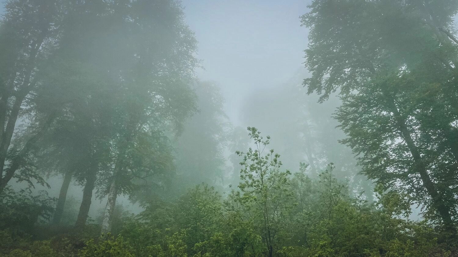 Роза Хутор в Сочи
