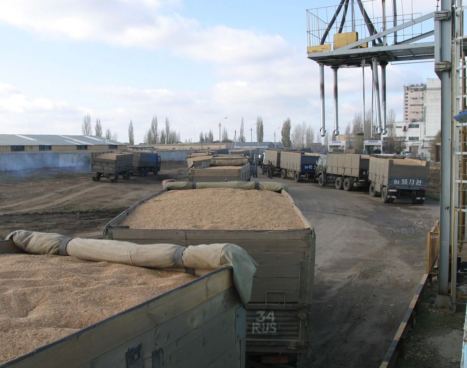 Три четверти российского продовольственного экспорта приходится на зерно, масла и рыбу