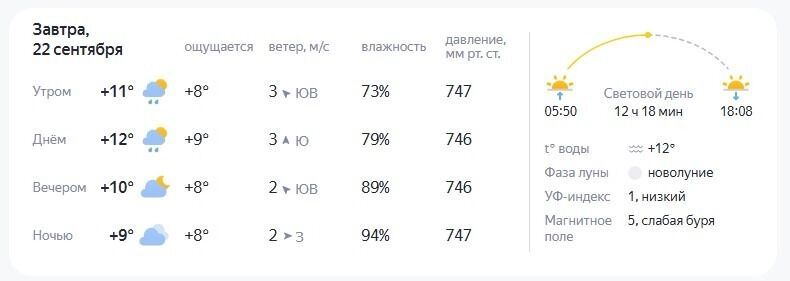 В Сургуте метеорологи также обещают дожди.