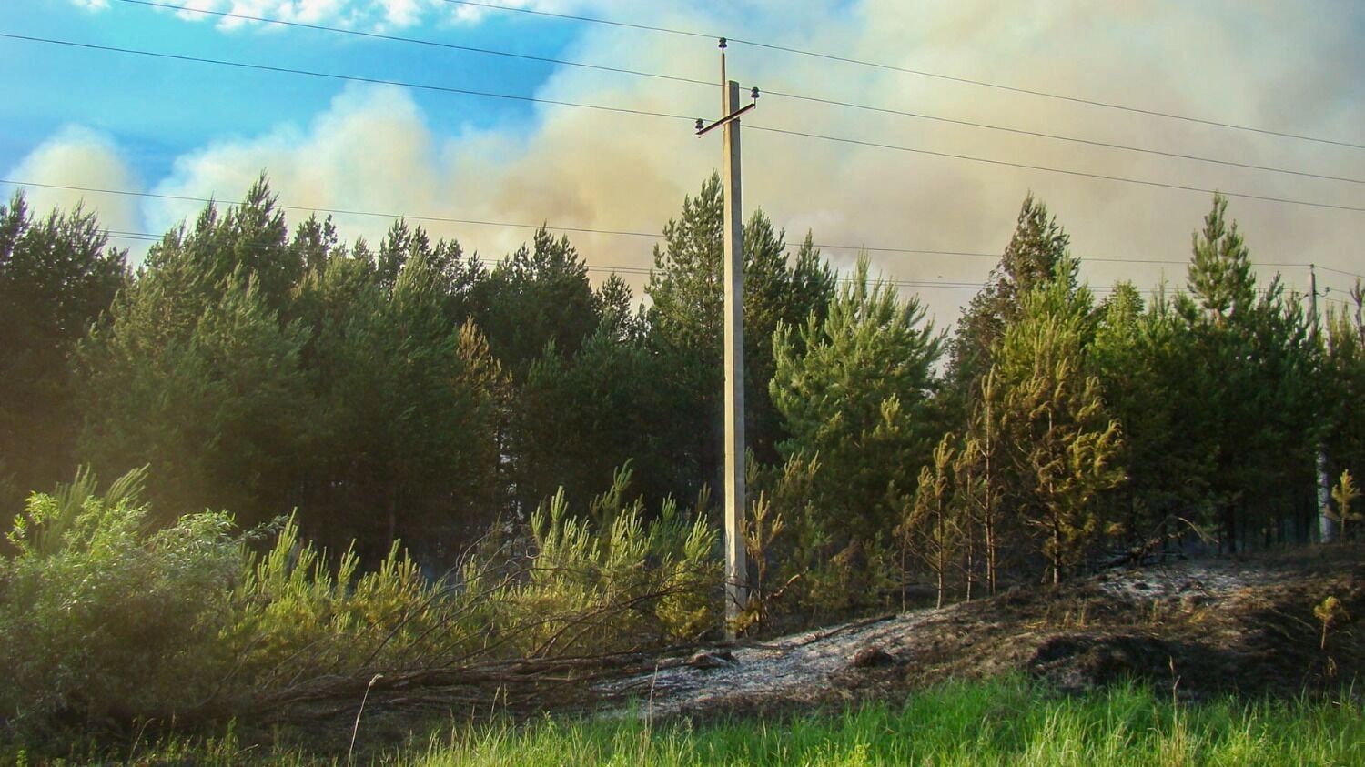 Лесной пожар у деревни Пиголи в 2010 году