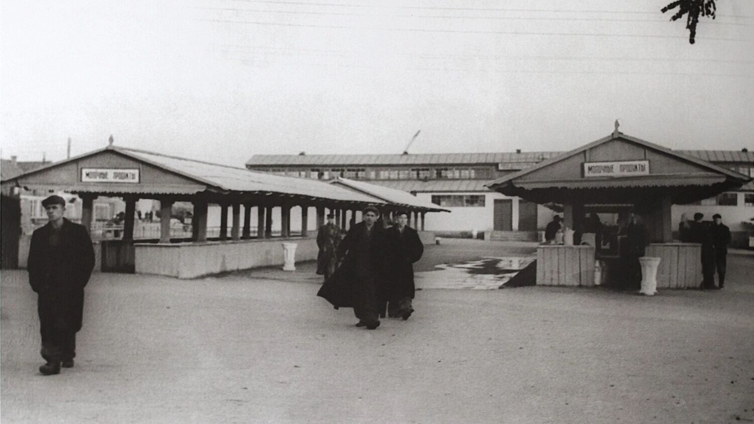 Новый колхозный рынок. Ряды молочных продуктов. Конец 1950-х годов