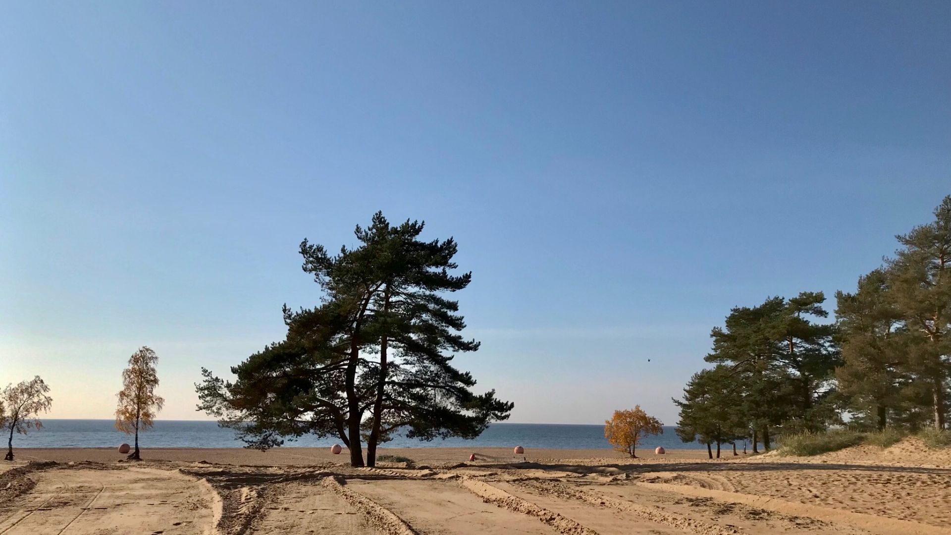Петербуржцам пообещали новые парковки вдоль пляжей в Курортном районе Петербуржцам пообещали новые парковки вдоль пляжей в Курортном районе