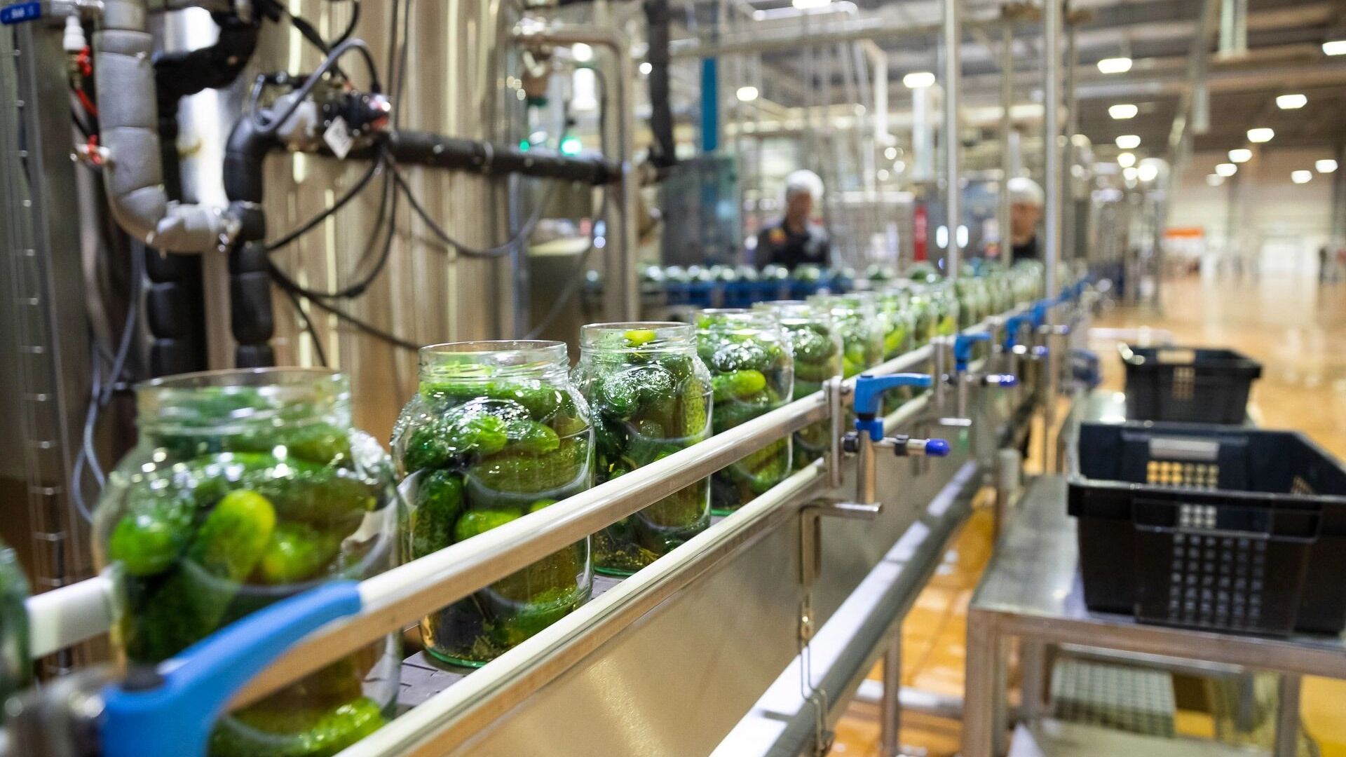 Производство продуктов выросло в Волгоградской области