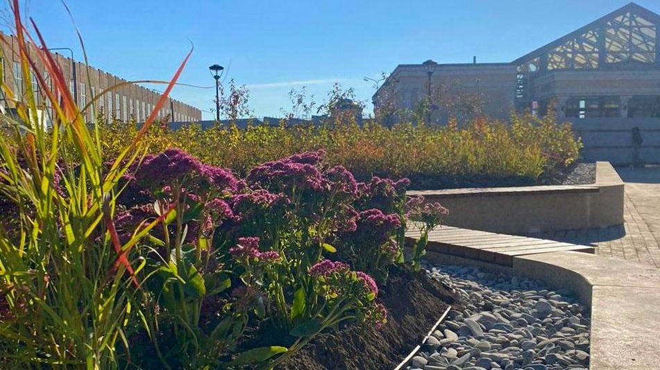 В Петербурге разобрались со стихийной парковкой у Балтийского вокзала В Петербурге разобрались со стихийной парковкой у Балтийского вокзала