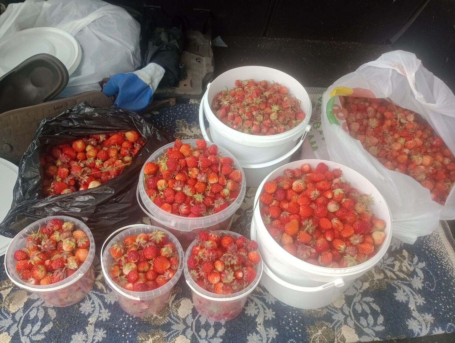 Ведерки с клубникой